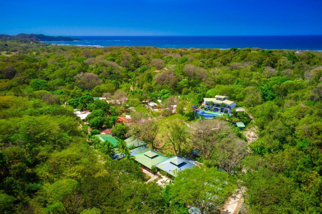 Jungle'S Edge Otel Nosara Dış mekan fotoğraf