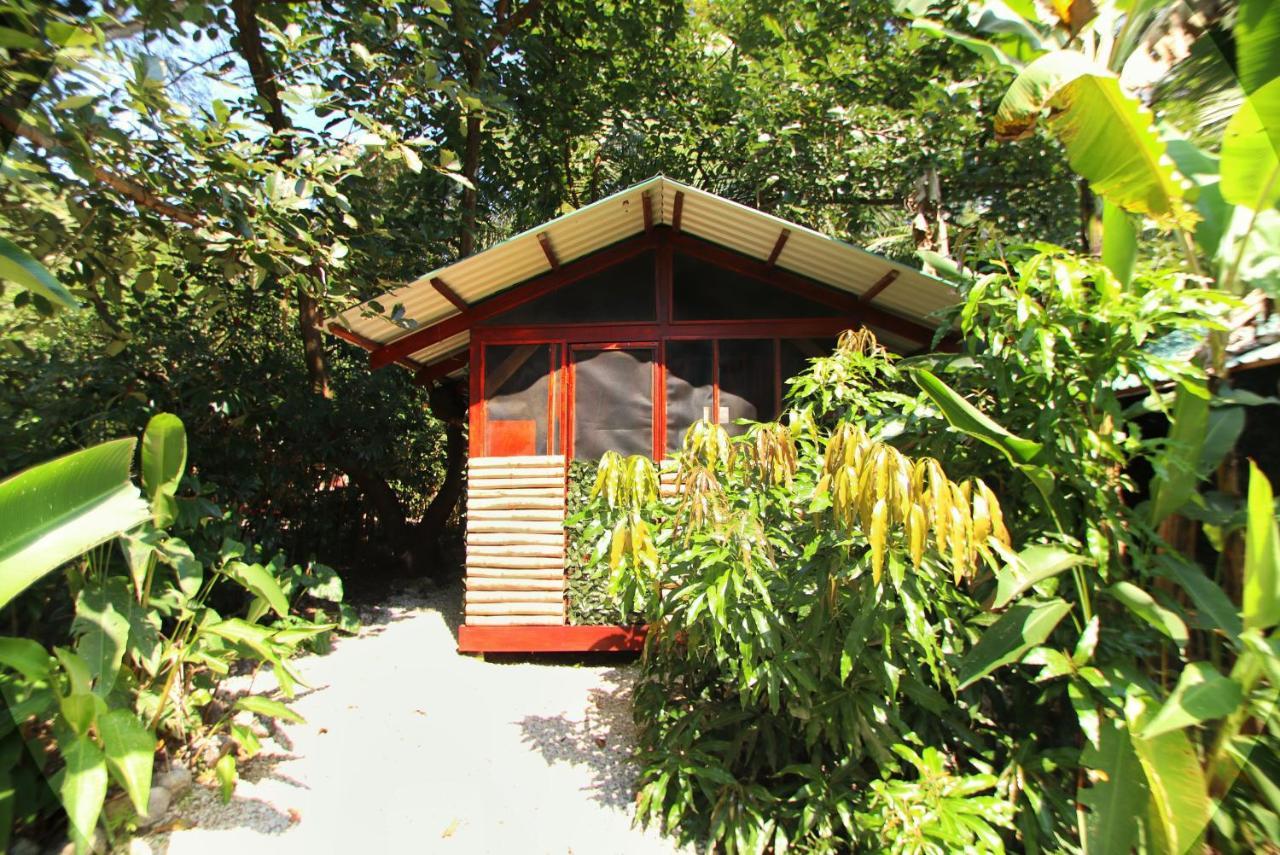 Jungle'S Edge Otel Nosara Dış mekan fotoğraf
