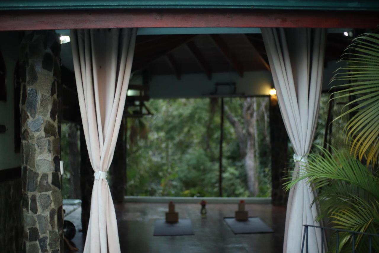 Jungle'S Edge Otel Nosara Dış mekan fotoğraf