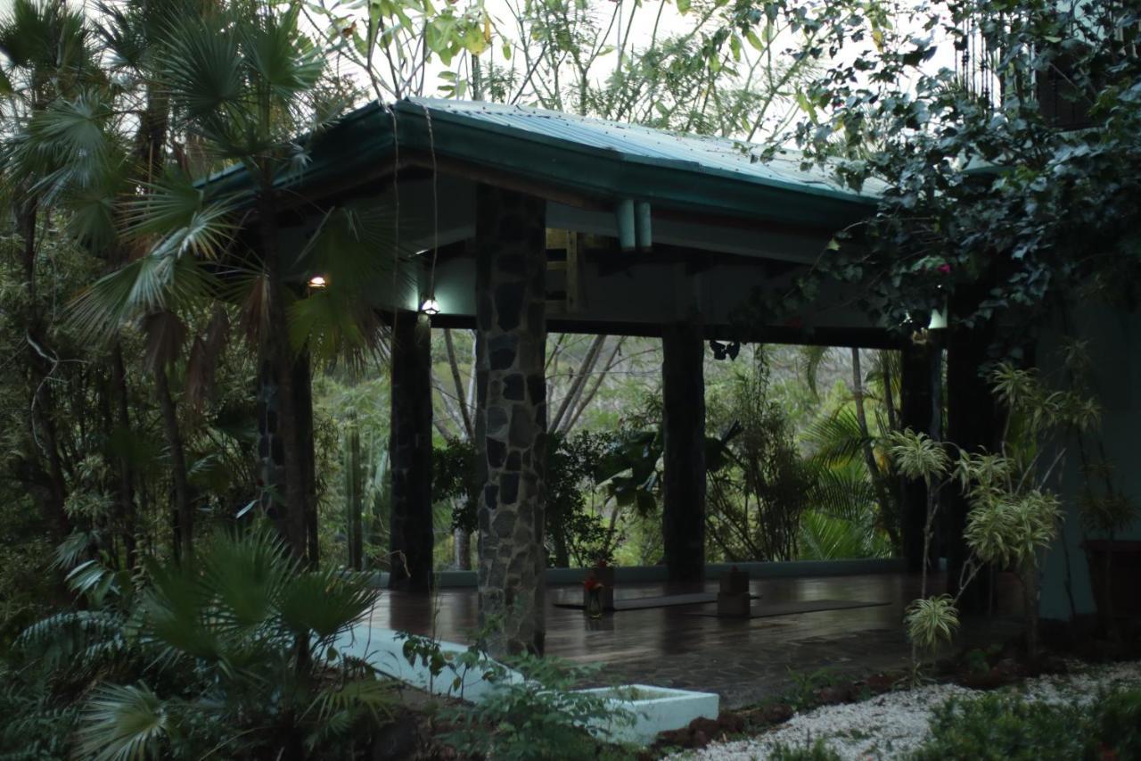 Jungle'S Edge Otel Nosara Dış mekan fotoğraf