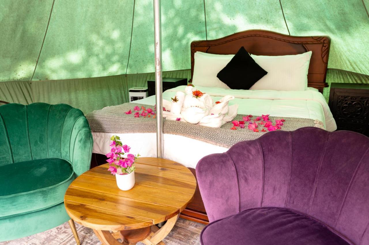 Jungle'S Edge Otel Nosara Dış mekan fotoğraf