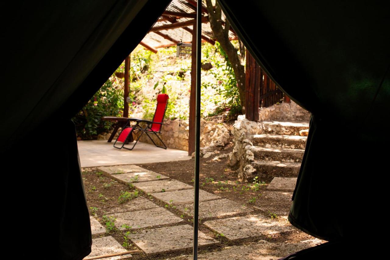 Jungle'S Edge Otel Nosara Dış mekan fotoğraf