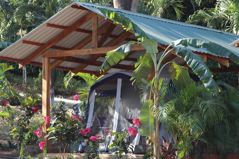 Jungle'S Edge Otel Nosara Dış mekan fotoğraf