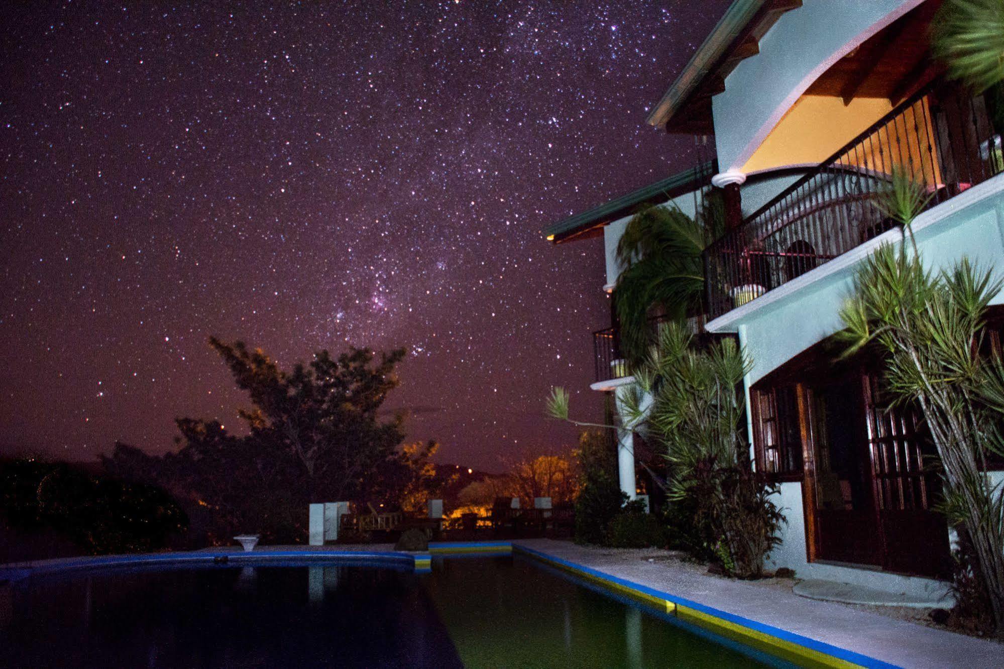 Jungle'S Edge Otel Nosara Dış mekan fotoğraf
